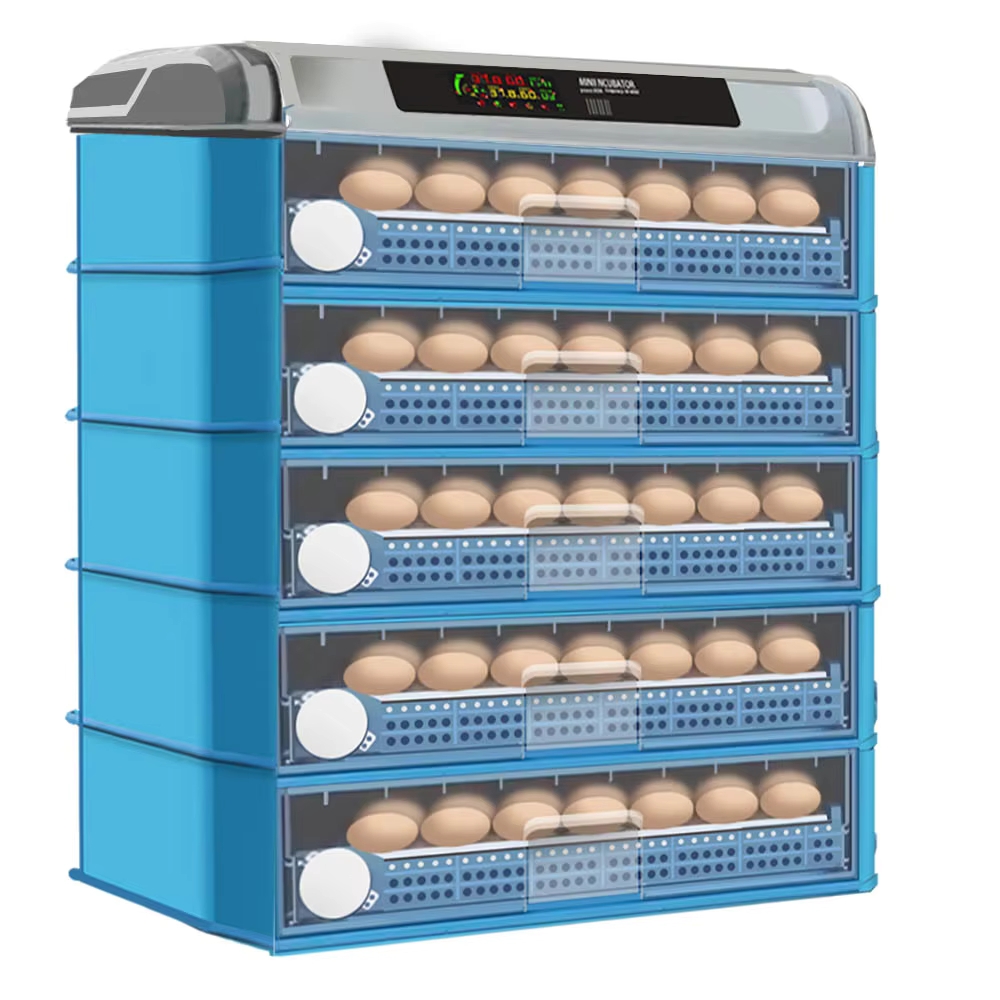 Incubateur automatique intelli - Power Supply 12V avis et prix