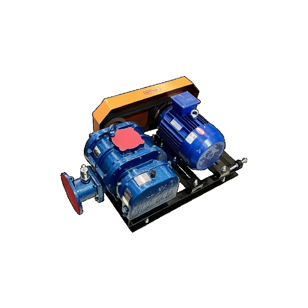 Souffleur Roots Haute Puissanc - Ac Power Supply avis et prix